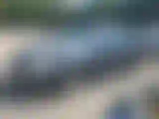 Vehicle Image- 2004 Honda Accord