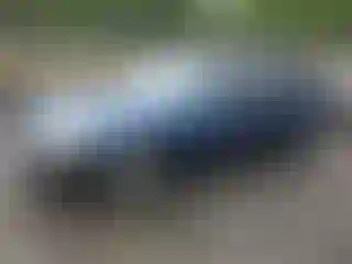 Vehicle Image- 2006 Honda Accord