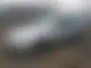 Vehicle Image- 2006 Honda Accord