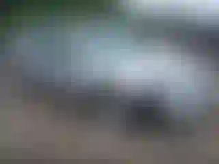 Vehicle Image- 2007 Honda Accord