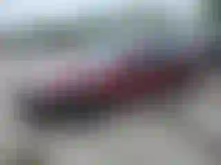 Vehicle Image- 2005 Honda Accord