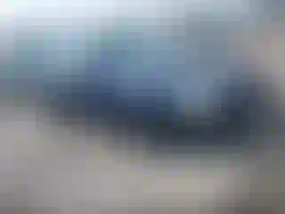 Vehicle Image- 2007 Honda Accord