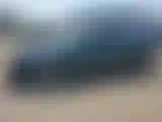 Vehicle Image- 2003 Honda Accord