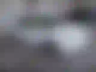 Vehicle Image- 2004 Honda Accord