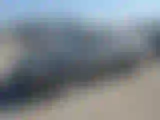 Vehicle Image- 2006 Honda Accord