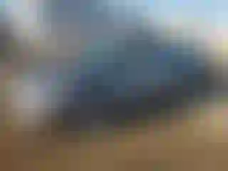 Vehicle Image- 2007 Honda Accord