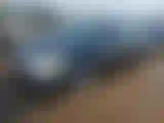 Vehicle Image- 2004 Honda Accord
