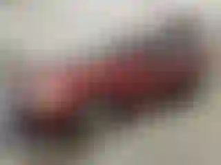 Vehicle Image- 2003 Honda Accord