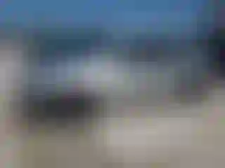 Vehicle Image- 2006 Honda Accord