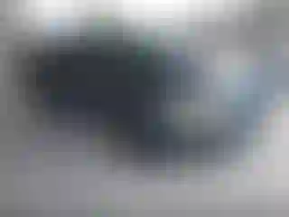 Vehicle Image- 2004 Honda Accord