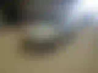 Vehicle Image- 2006 Honda Accord