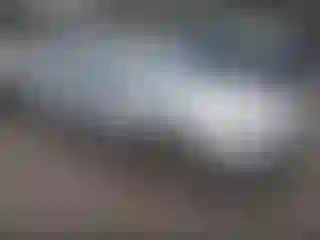 Vehicle Image- 2006 Honda Accord