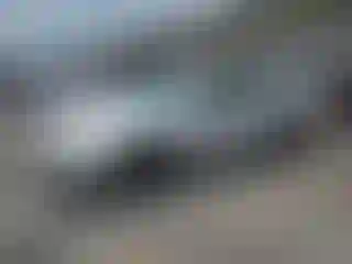 Vehicle Image- 2003 Honda Accord