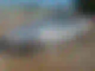 Vehicle Image- 2005 Honda Accord