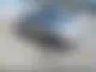 Vehicle Image- 2005 Honda Accord