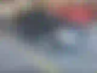 Vehicle Image- 2005 Honda Accord