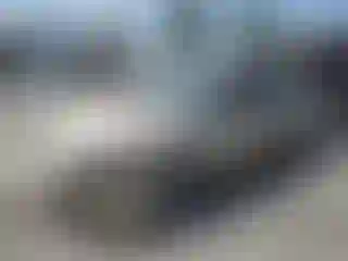 Vehicle Image- 2007 Honda Accord