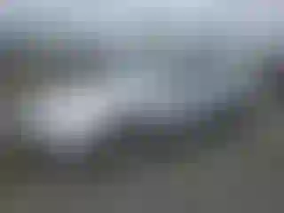 Vehicle Image- 2004 Honda Accord