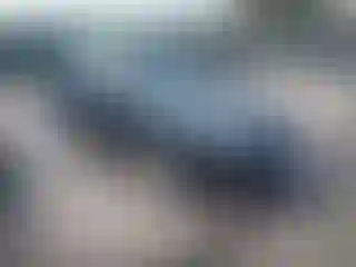 Vehicle Image- 2007 Honda Accord