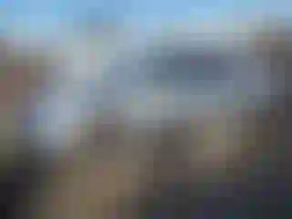 Vehicle Image- 2007 Honda Accord