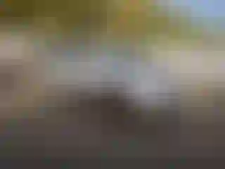 Vehicle Image- 2007 Honda Accord