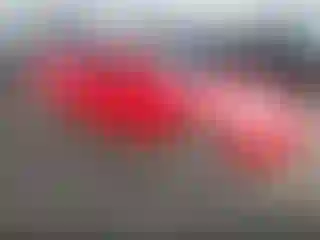 Vehicle Image- 2004 Honda Accord