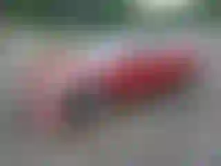 Vehicle Image- 2004 Honda Accord