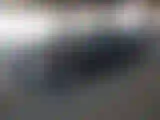 Vehicle Image- 2004 Honda Accord
