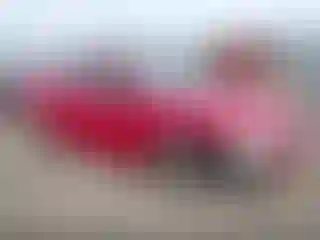 Vehicle Image- 2006 Honda Accord