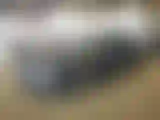 Vehicle Image- 2004 Honda Accord