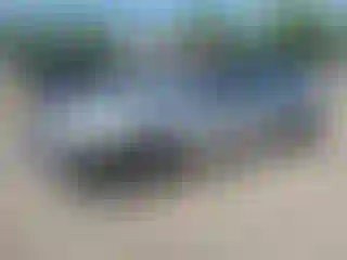 Vehicle Image- 2006 Honda Accord
