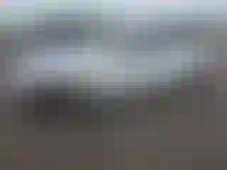 Vehicle Image- 2003 Honda Accord