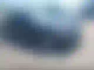 Vehicle Image- 2004 Honda Accord