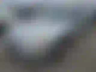 Vehicle Image- 2007 Honda Accord