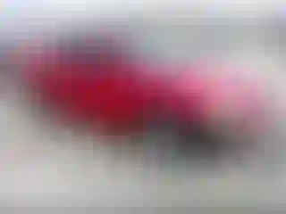 Vehicle Image- 2003 Honda Accord