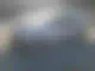 Vehicle Image- 2004 Honda Accord