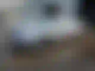 Vehicle Image- 2004 Honda Accord