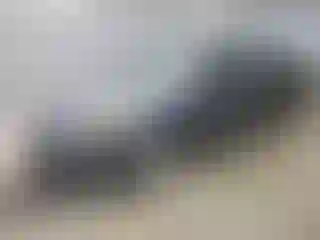 Vehicle Image- 2008 Honda Accord
