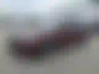 Vehicle Image- 2008 Honda Accord