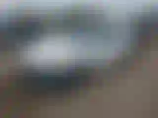 Vehicle Image- 2008 Honda Accord