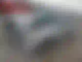 Vehicle Image- 2009 Honda Accord
