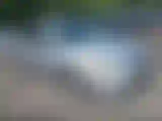 Vehicle Image- 2009 Honda Accord
