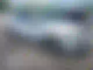 Vehicle Image- 2008 Honda Accord