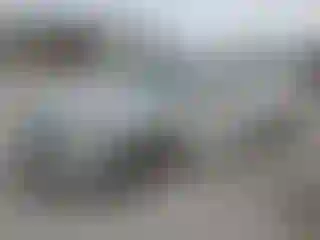 Vehicle Image- 2008 Honda Accord