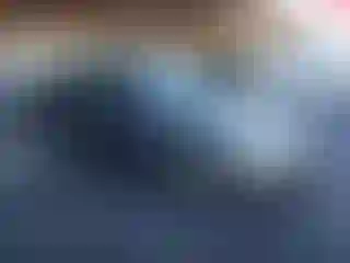 Vehicle Image- 2008 Honda Accord