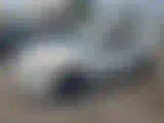Vehicle Image- 2009 Honda Accord