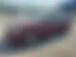 Vehicle Image- 2008 Honda Accord