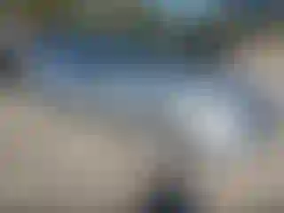 Vehicle Image- 2008 Honda Accord