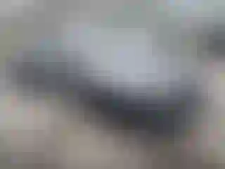 Vehicle Image- 2009 Honda Accord