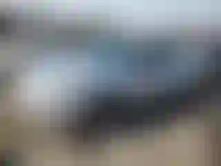 Vehicle Image- 2008 Honda Accord